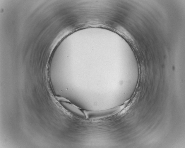 X0000070421190200607072327