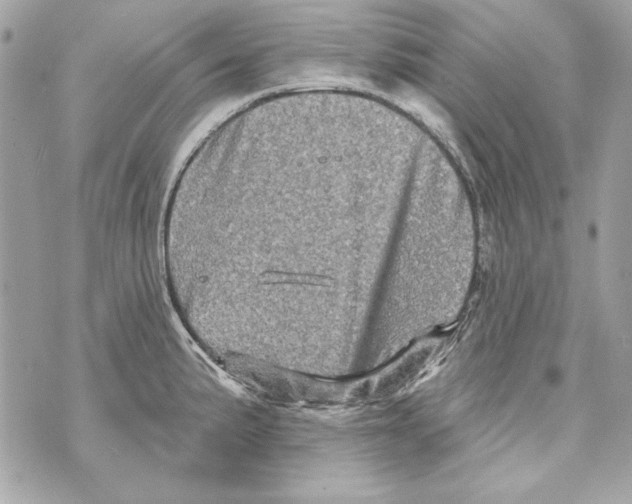 X0000070421191200607072327