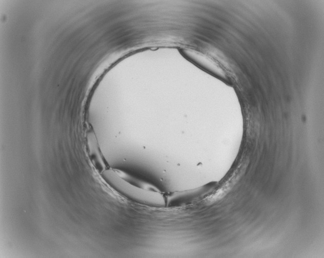 X0000070421192200607072326