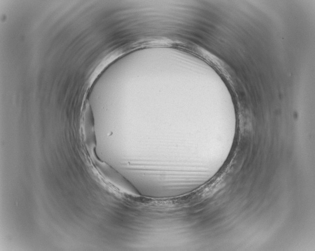 X0000070421194200607072326