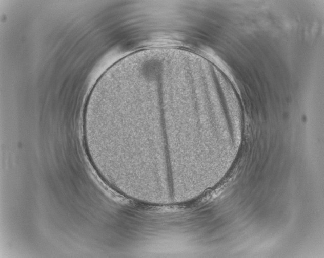 X0000070421195200607072326