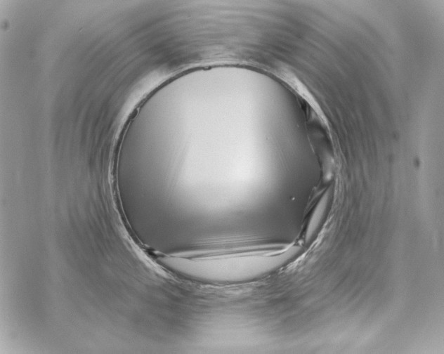 X0000070421197200607072326