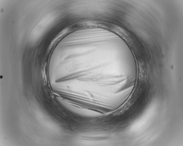 X0000070421198200607072326