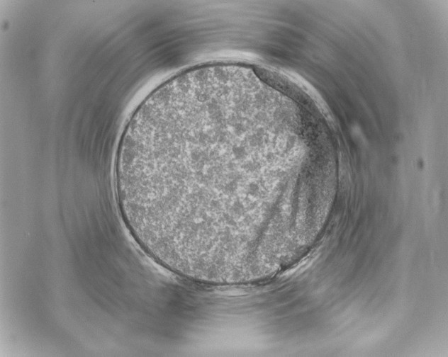 X0000070421199200607072326