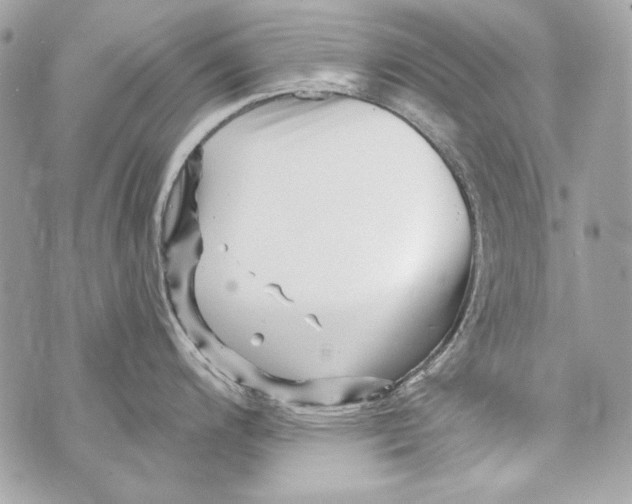 X0000070421200200607072326