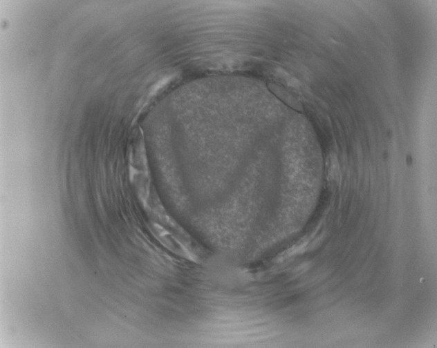 X0000070421202200607072326