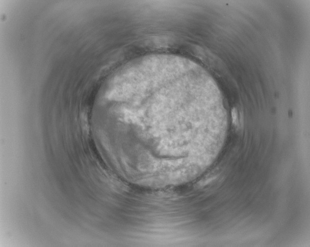 X0000070421203200607072326