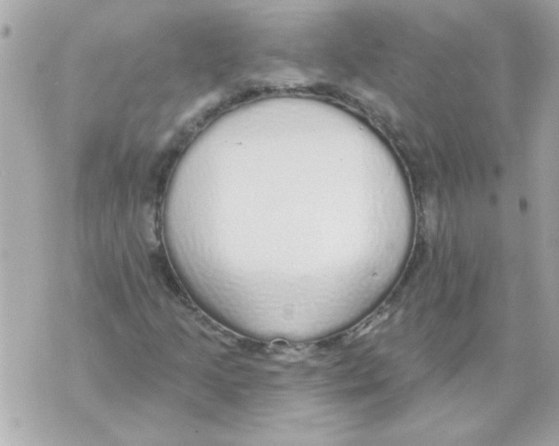 X0000070421205200607072326