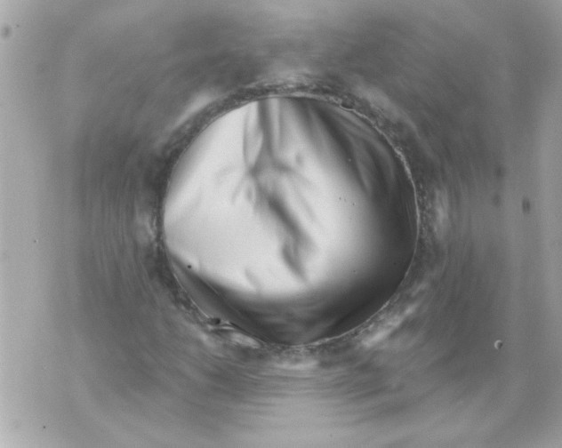 X0000070421206200607072326