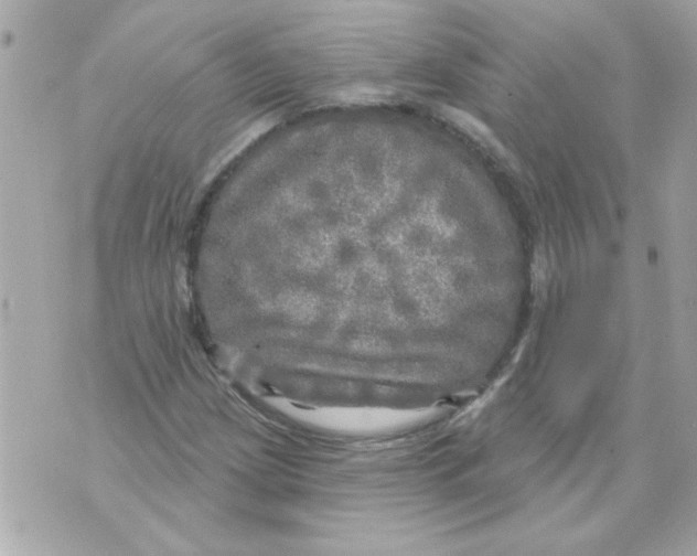 X0000070421209200607072326