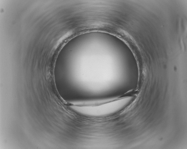 X0000070421210200607072326