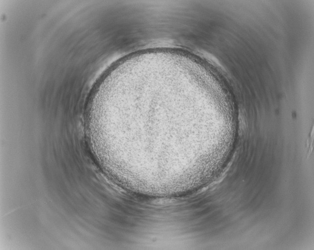 X0000070421212200607072326