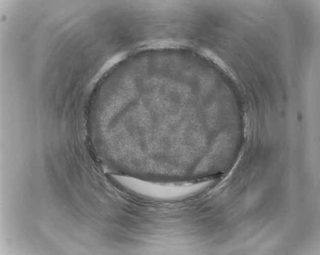 X0000070421213200607072326