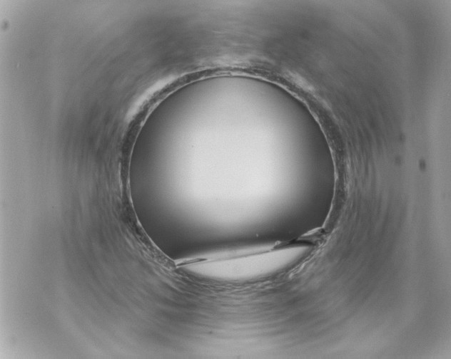 X0000070421214200607072326