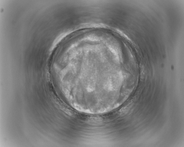 X0000070421215200607072326