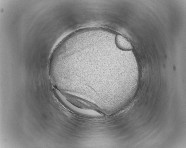 X0000070421216200607072326