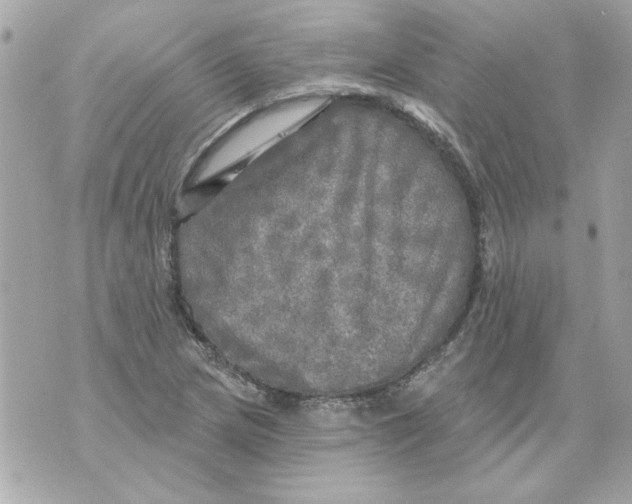 X0000070421217200607072326