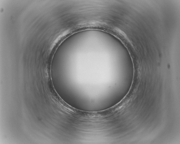 X0000070421218200607072326