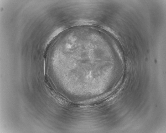 X0000070421219200607072326