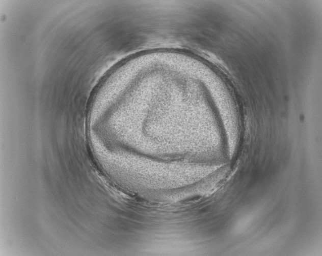 X0000070421220200607072326