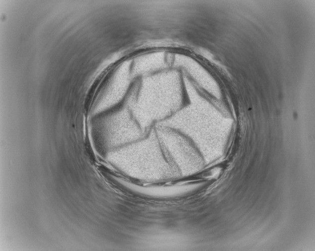 X0000070421221200607072326