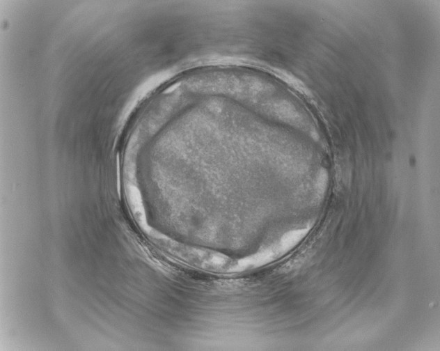 X0000070421223200607072326