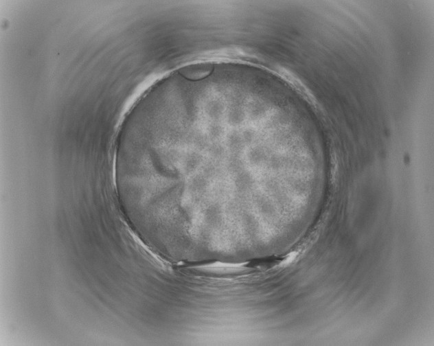 X0000070421224200607072326