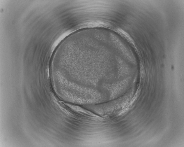 X0000070421226200607072326