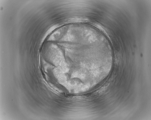 X0000070421227200607072326