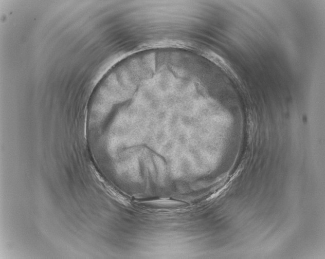 X0000070421228200607072326