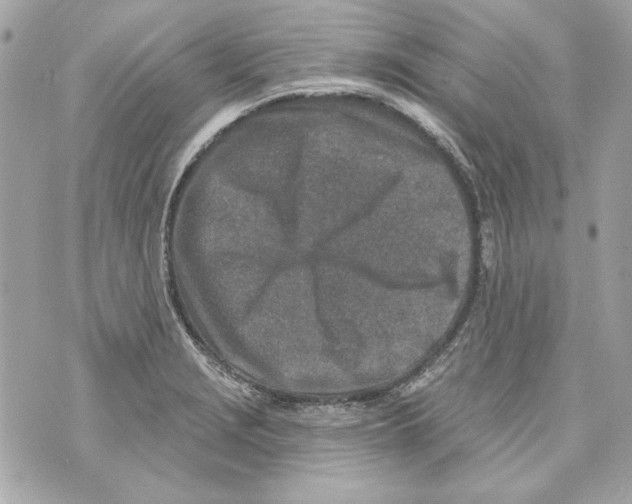 X0000070421229200607072326