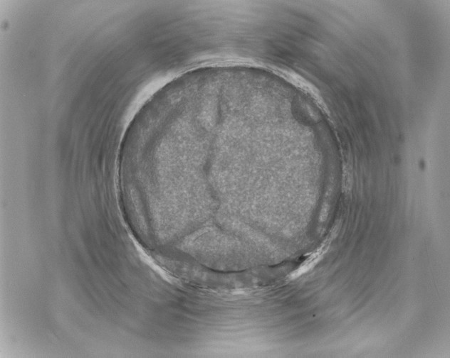 X0000070421231200607072326