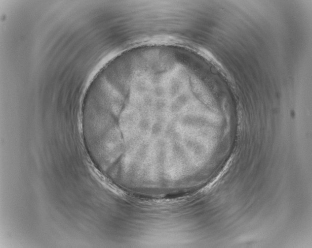 X0000070421232200607072326