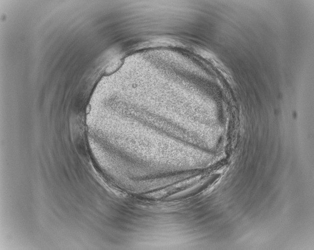 X0000070421233200607072326