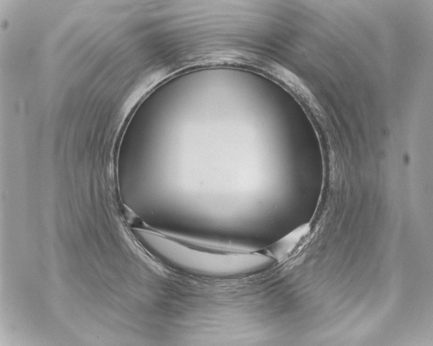 X0000070421234200607072326