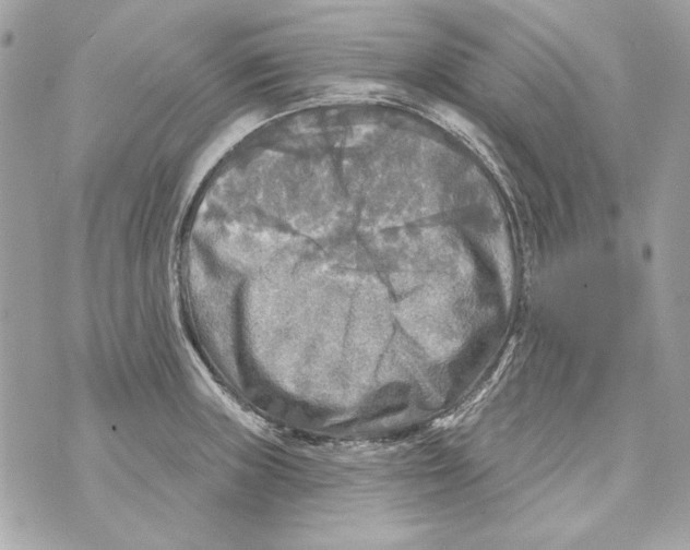 X0000070421235200607072326