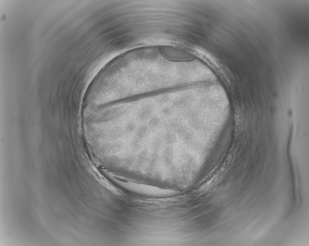 X0000070421236200607072326