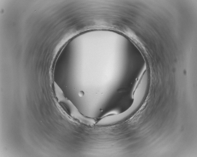 X0000070421238200607072326