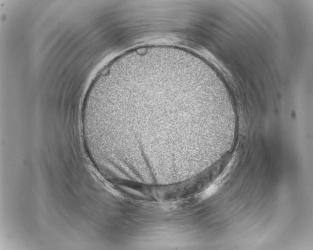 X0000070421240200607072326