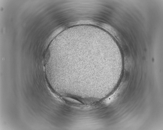 X0000070421241200607072326