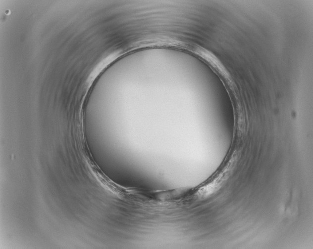 X0000070421242200607072326