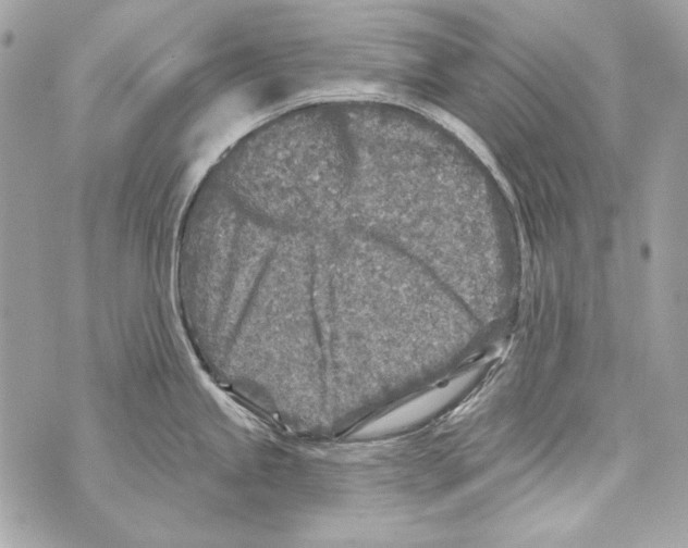 X0000070421245200607072326