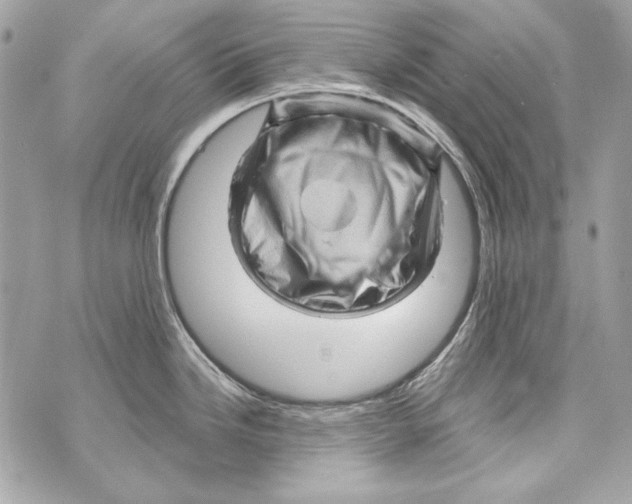 X0000070421246200607072326