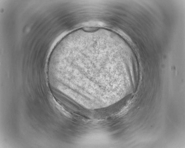 X0000070421248200607072326