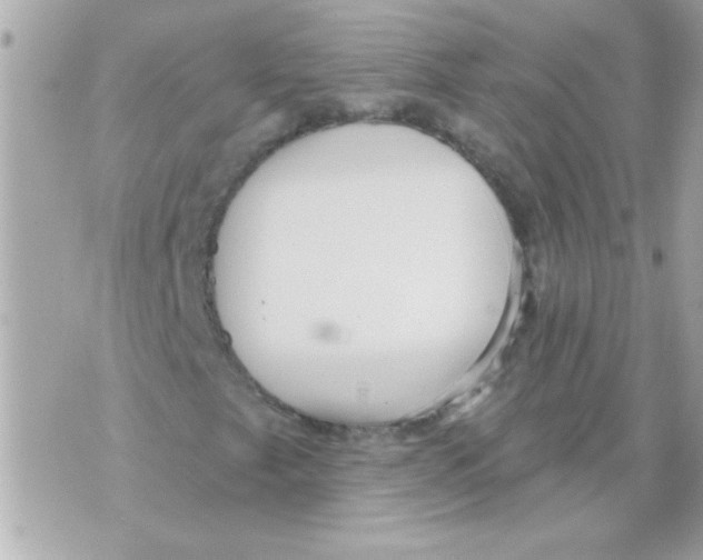 X0000070421249200607072326