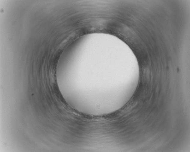 X0000070421250200607072326