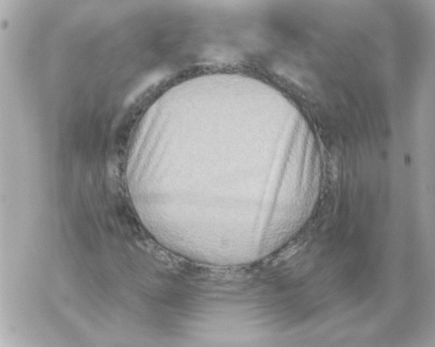 X0000070421254200607072325