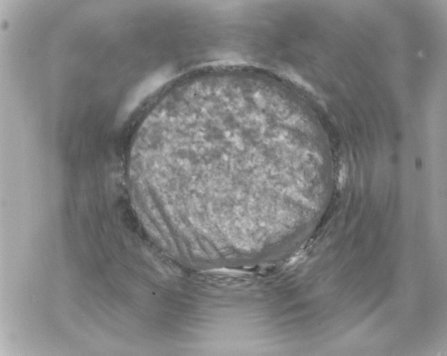 X0000070421255200607072325