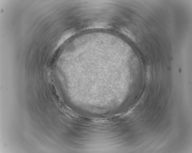 X0000070421258200607072325