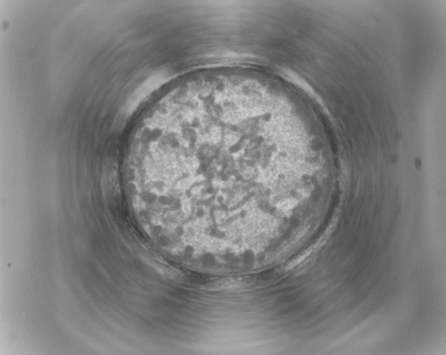 X0000070421259200607072325